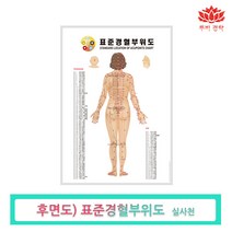 루비경락 경혈부위도-마사지 도구 피부관리실 에스테틱, 경혈부위도(뒷면), 1개