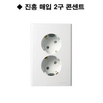 진흥 FS 매입 2구 접지 콘센트, 1개