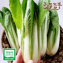 하늘농부 친환경 얼갈이 400g, 1봉