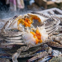 [특품선별] 서해안 연평도 급냉 암꽃게, 1박스, 2kg (암꽃게 6-10미)