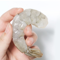 칵테일 새우 1kg(해동 후 실중량900g) 감바스