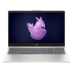 HP 2025 노트북 15 라이젠5 라이젠 7000 시리즈, 15-fc1058AU, WIN11 Home, 8GB, 256GB, Natural Silver
