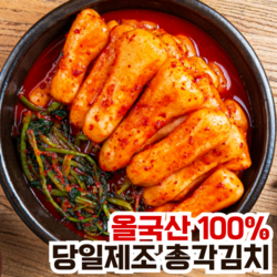 정순애김치 당일제조 전라도식 총각김치