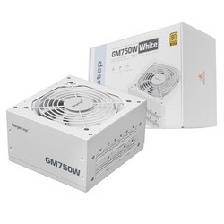 Segotep GM750W 80PLUS GOLD 풀모듈러 ATX 3.1 (PCIE5.1) 화이트, 단일상품