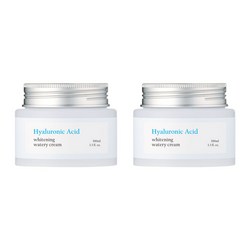 [1+1]퓨어그라운드 히알루론산 화이트닝 수분크림 100ml 2개, 2개, 100g