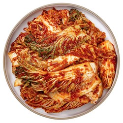 어사김치 당일생산 전라도 배추 겉절이 김치