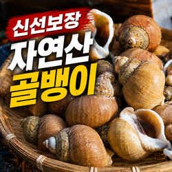 [산지직송] 신선보장 자연산 급냉 백골뱅이, 1세트, 800g