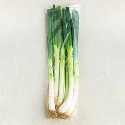 바로가기