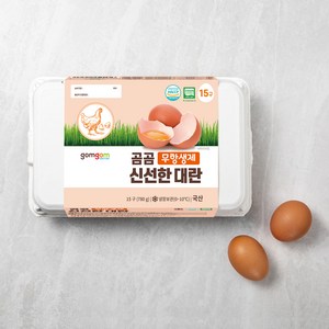 곰곰 무항생제 신선한 대란