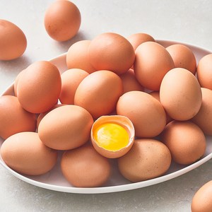 [로켓프레시] 농협 동물복지 인증 유정란 1.56kg