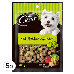 시저 강아지 큐브 트릿