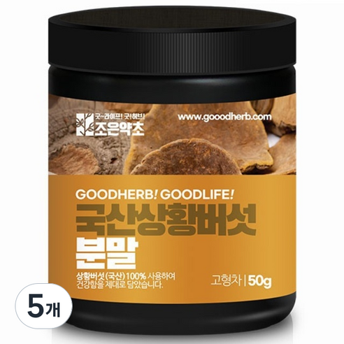 조은약초 국산 상황버섯 분말, 50g, 5개