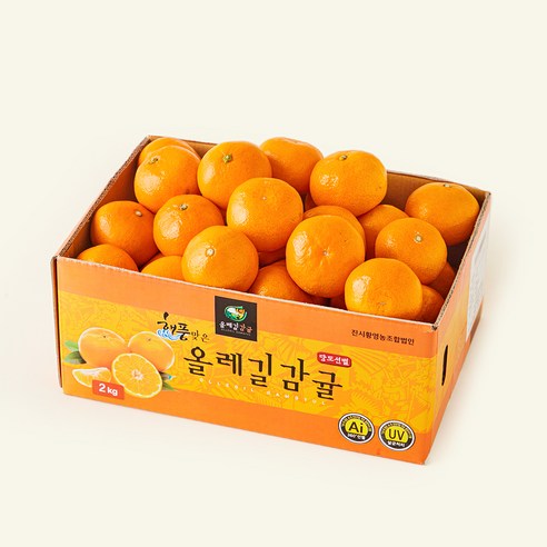 [로켓프레시] 올레길 AI 당도선별 12brix 감귤