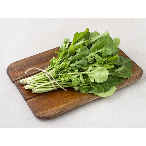 로케트 루꼴라