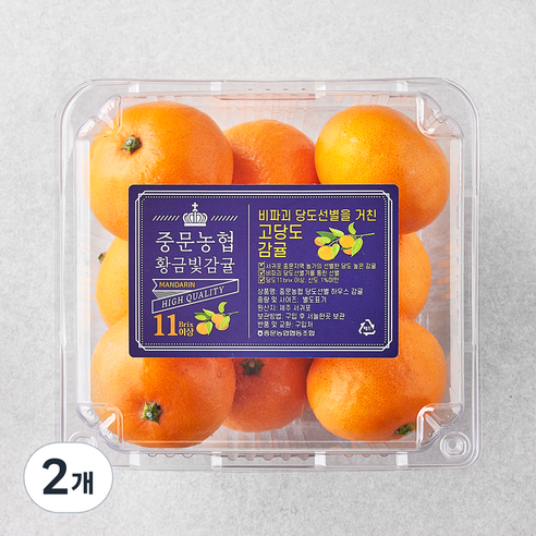 [로켓프레시] 중문농협 당도선별 황금빛 진지향