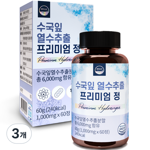 웰리즈 수국잎 열수추출 프리미엄 정 60g