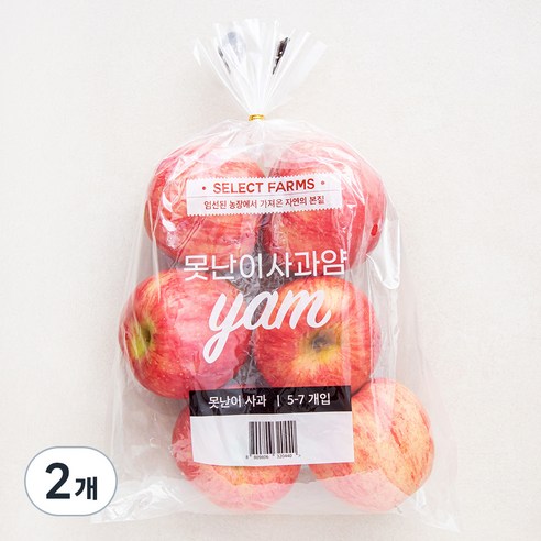 [로켓프레시] 셀렉트팜 못난이 사과 얌