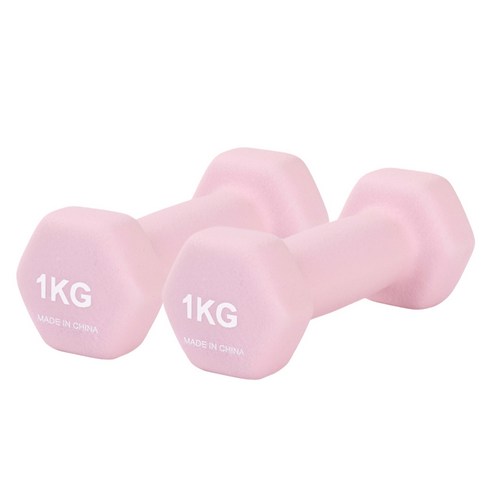 리브스포 논슬립 아령, 1kg, 2개