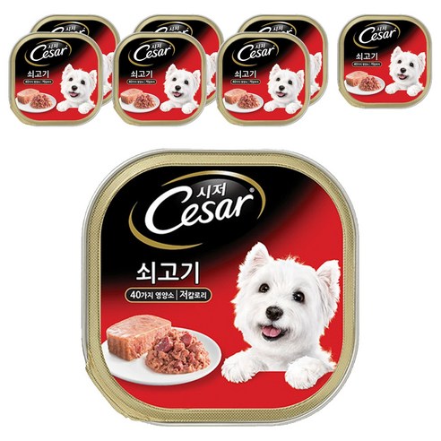 시저 1세 이상 어덜트 강아지 주식캔, 소, 100g, 8개