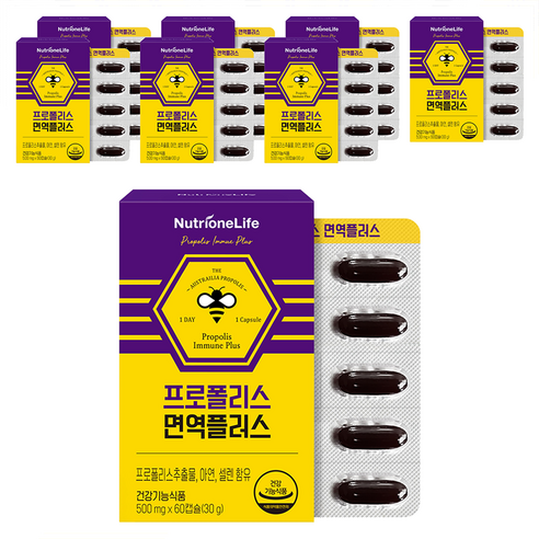 뉴트리원 프로폴리스 면역 플러스