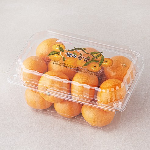 [로켓프레시] 탐라황감 당도선별 10brix 감귤, 800g(로열과), 1개