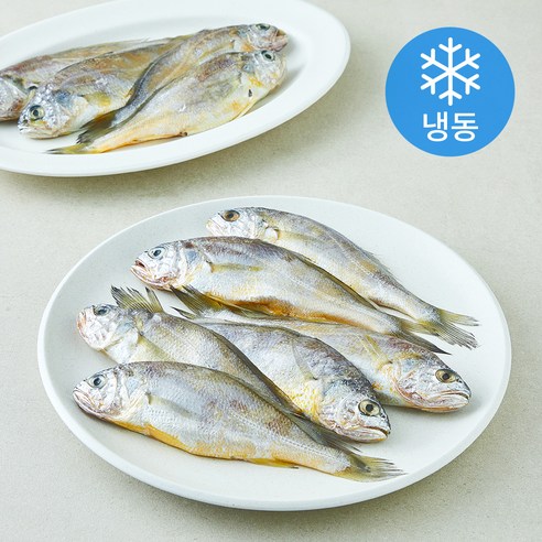 [로켓프레시] 제주 참조기 10미 (냉동)