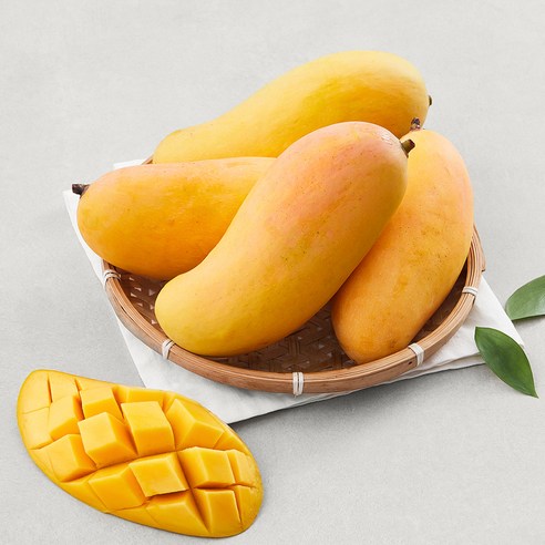 [로켓프레시] 이웃마을 태국 마하차녹 망고