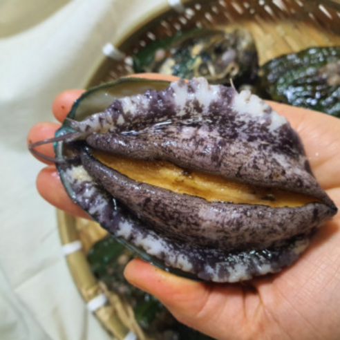 [황제수산] 완도 활 전복 산지직송 홈쇼핑 대전복 1kg 9-10미, 1박스, 대전복 1kg 9-10미