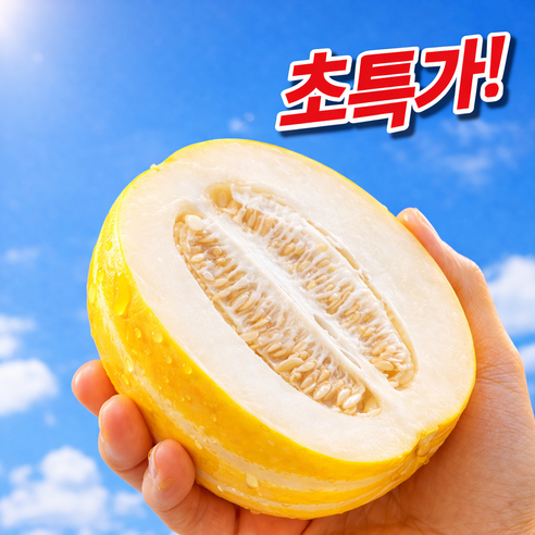 [파격초특가] 100박스한정판매 산지직송 고당도 성주참외