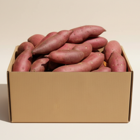 레드이츠 세척 프리미엄 해남 고구마 꿀고구마, 1박스, 한입 10kg (20~50g)
