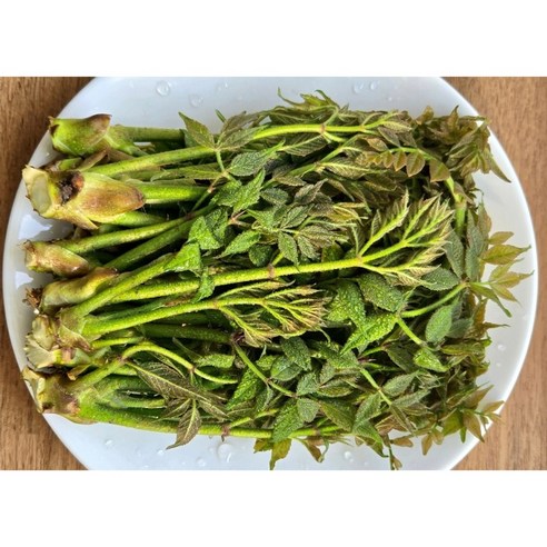 참두릅 자연산참두릅 봄향기가득 첫수확 산지직송 한정판매 500g 2박스