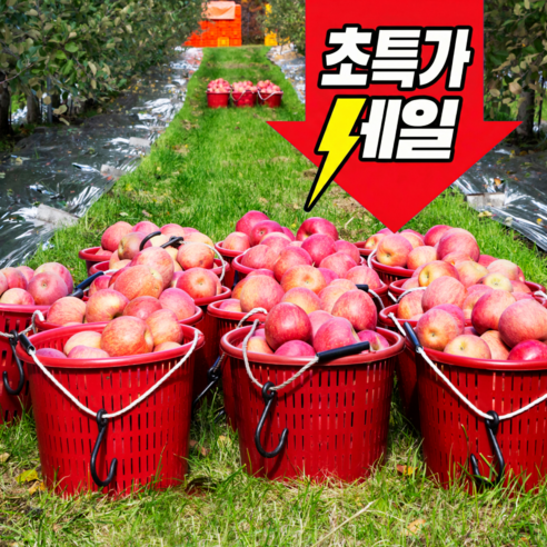 [한정수량할인]초특가 농장직송 고당도 못난이 부사사과