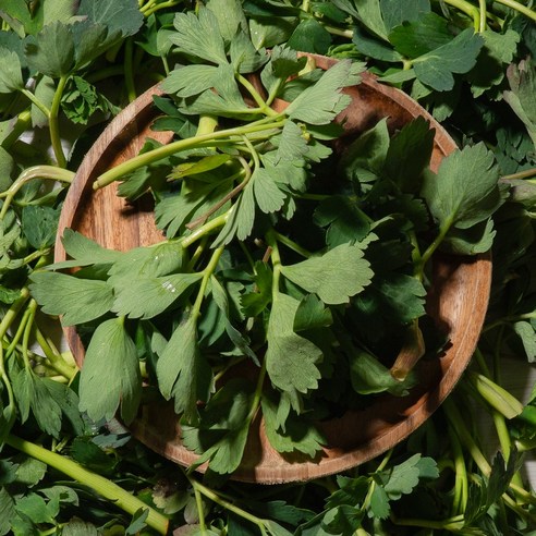 2026 햇 여수 금오도 방풍나물, 500g, 1박스