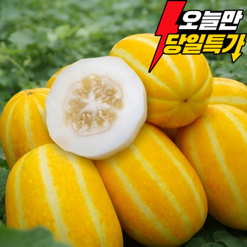 [산지직송] 성주참외 재구매1위 제철과일 꿀뚝뚝 당도보장, 1박스, 5kg (가정용 혼합과)