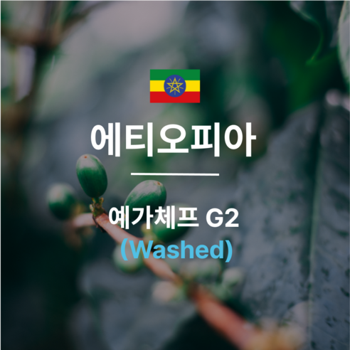 [커피생두] 25크랍 에티오피아 예가체프 G2 워시드, 1kg, 1개