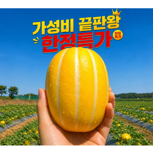 [50박스 한정특가] 농가직송 꿀당도 성주 참외 가성비 끝판