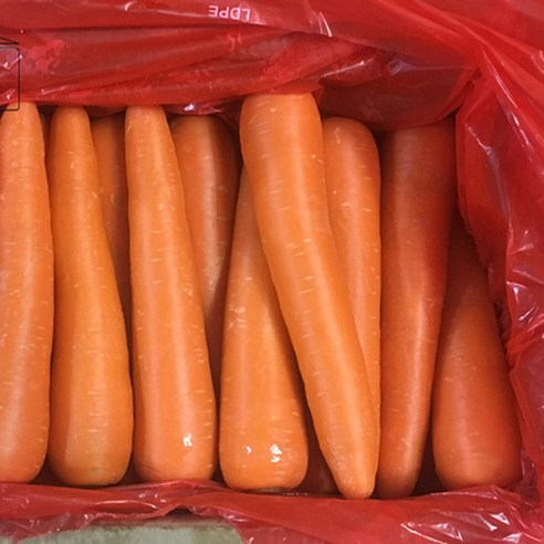 10kg 중국산세척당근 수입당근 중국산당근 식당용 업소용 급식채소
