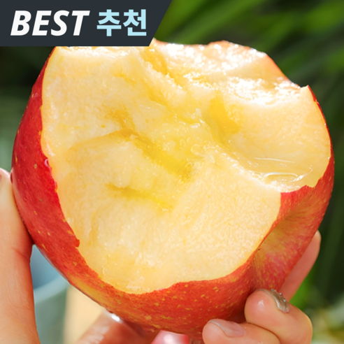 [재구매1위] 산지직송 당일수확 꿀과즙 부사사과