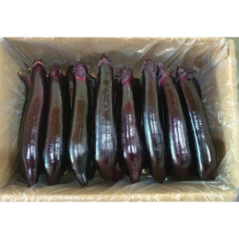 가락싱싱 가지 1kg (특품 ) 국내산 싱싱한 생가지, 1박스, 1kg