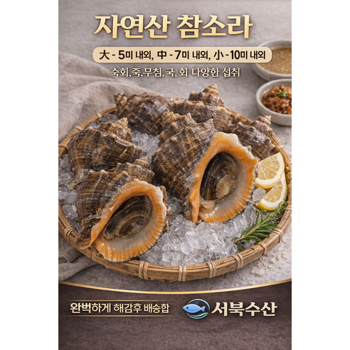 [국내산] 자연산 생물 참소라 중대 2kg [ kg - 7미 내외 ] 서북수산, 1개, 2kg