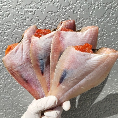 [산지직송] 동해안 반건조 참가자미 자연해풍 가자미, 1개, 반건조 참가자미 3kg 내외 (중/18-24미)