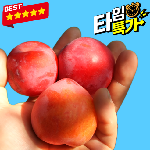 [타임특가] 첫수확 장인선별 햇자두 초특가할인