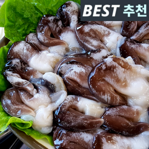 [마지막특가] 여수직송 당일조업 최상품 손질 생물 새조개, 1개, 생물 검정새조개 500g