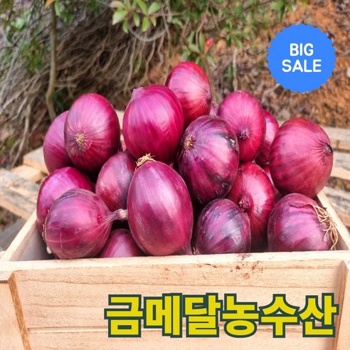 금메달농수산 산지직송 25년 무안 자색 햇양파