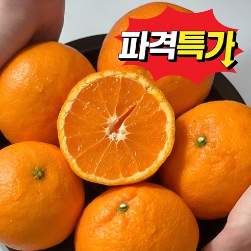 [초특가] 제주 고당도 실속형 카라향