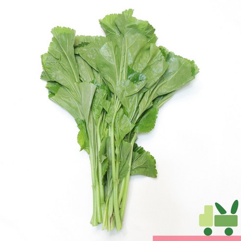 사라상회 아욱 4kg