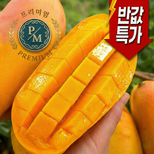 [백화점납품]프리미엄 딱100박스만 초고당도 마하차녹 골드망고, 1박스, 2.5kg (5-9과)