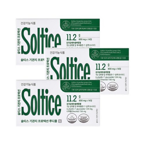 솔티스 기관지 프로텍션 루디콜 800mg x 14정 3박스