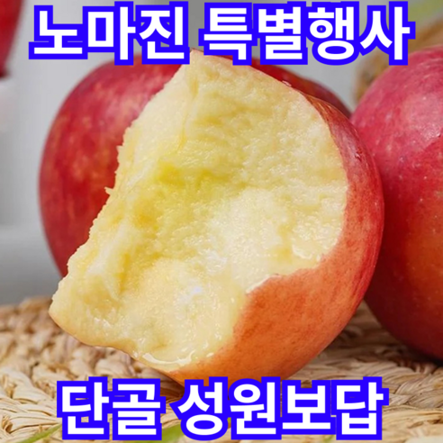 [노마진행사]성원보답 신선가득 못난이 자연단맛 꿀사과, 1박스, 5kg