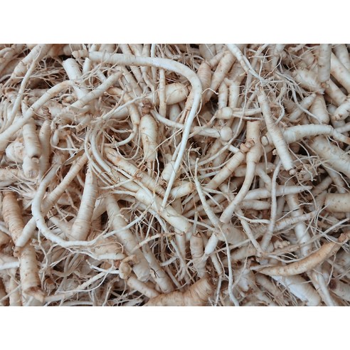 금산인삼 미삼 세척인삼 뿌리삼 파삼 미삼잔뿌리 1kg
